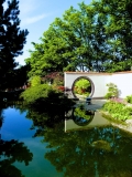 Reflecting on a Japenese Garden