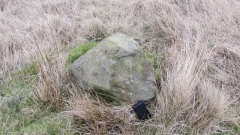 Stone north