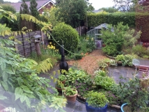 Garden after a week of rain