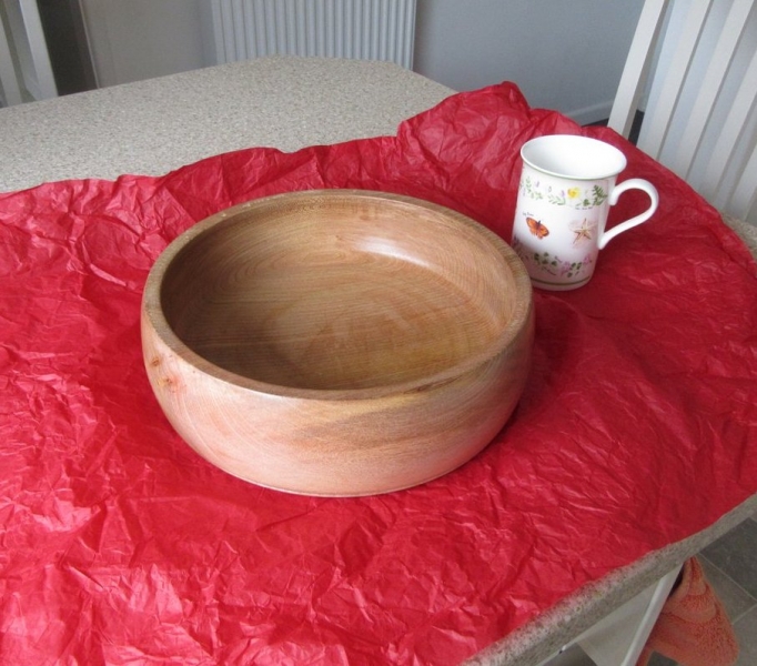 Wood bowl in American elm