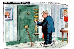 Trump cartoon 070121