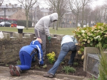 Young people planting shrubs