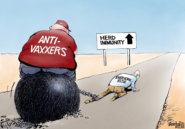 Anti Vaccination  cartoon