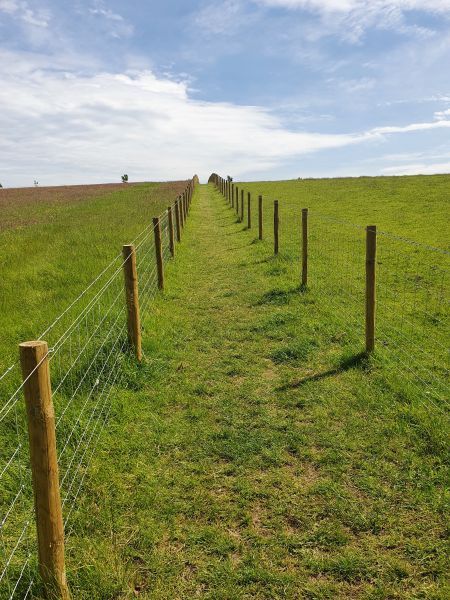 Fenced Path