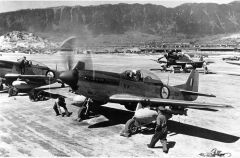 Mustang fighters of the SAAF in Korea, 1951