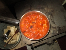 Sausage Tomato and Beans 061415
