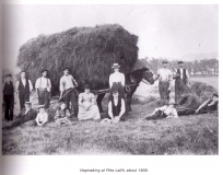 Haymaking c 1900